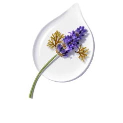 ANNEMARIE BÖRLIND Shampoo·Shampoo|