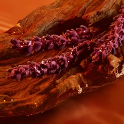 Armani Düfte·Eau De Parfum Spray|