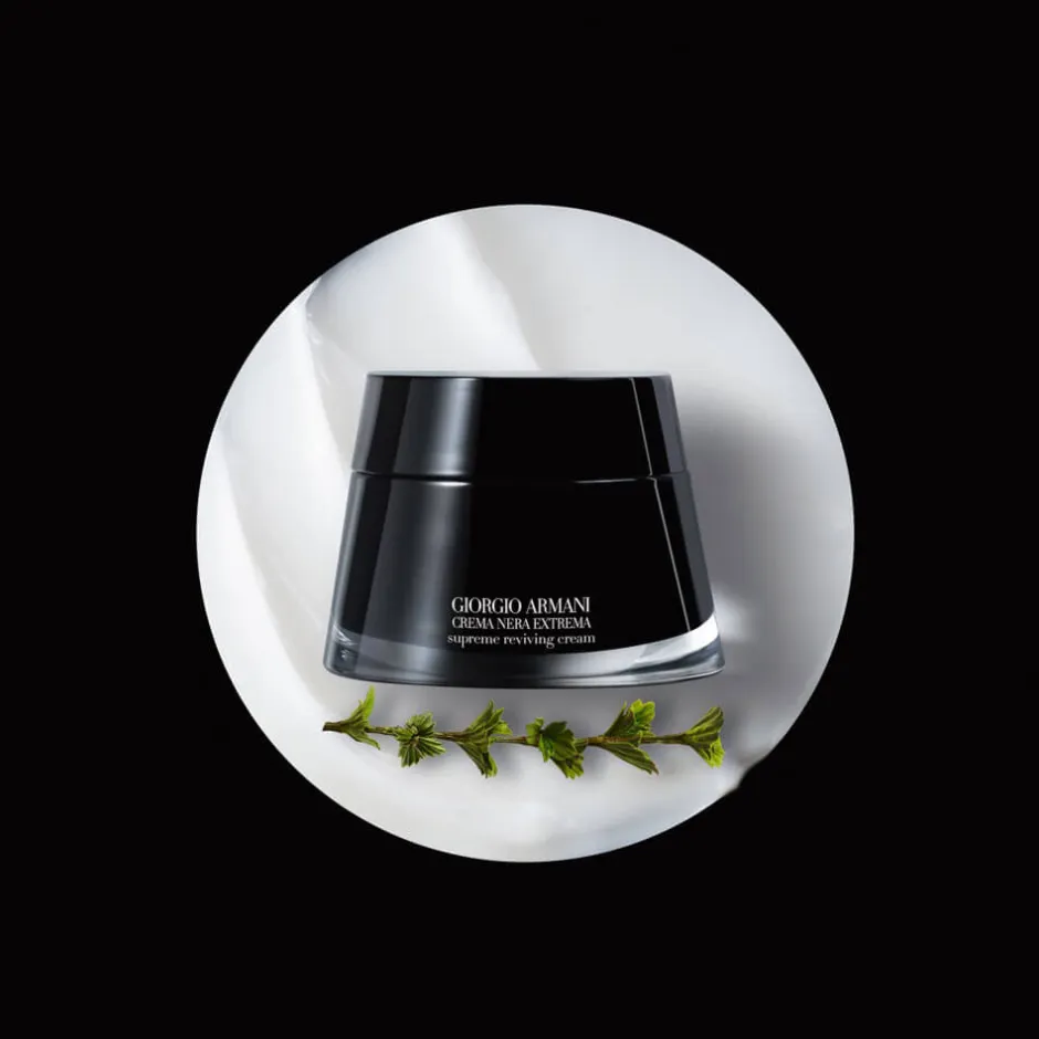 Armani Anti Aging·Anti-Aging|