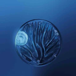 Biotherm Gesichtspflege·Nachtpflege|