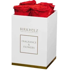 Birkholz Düfte|