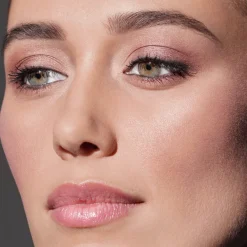 Bobbi Brown Highlighter|