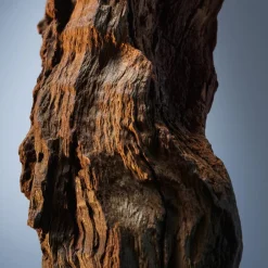 Boss - Hugo Boss Düfte·Eau De Parfum Spray|