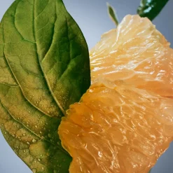 Boss - Hugo Boss Düfte·Eau De Parfum Spray|