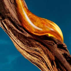 Boss - Hugo Boss Düfte·Eau De Parfum Spray|