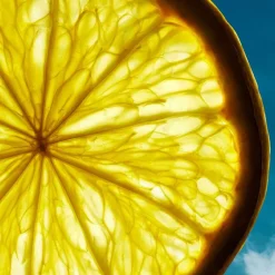 Boss - Hugo Boss Düfte·Eau De Parfum Spray|