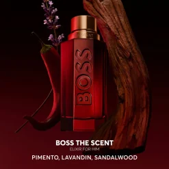 Boss - Hugo Boss Düfte·Parfum Spray|