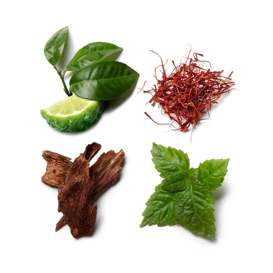 Brioni Düfte·Eau De Parfum Spray|