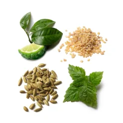 Brioni Düfte·Eau De Parfum Spray|