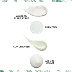 Bumble and bumble Shampoo·Hair Care|