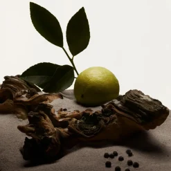 Burberry Deodorants·Deo Stick|