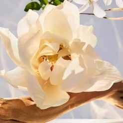 Bvlgari Düfte·Eau De Parfum Spray|