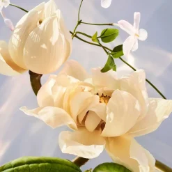 Bvlgari Düfte·Eau De Parfum Spray|