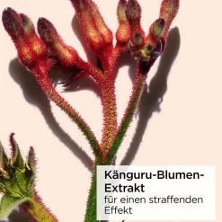 CLARINS Augenpflege·Augenpflege|