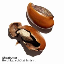 CLARINS Pflege·Body Lotion|Pflege·Body Cream|