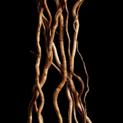 Davidoff Düfte·Eau De Toilette Spray|