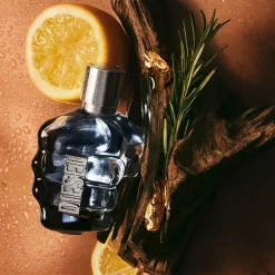 Diesel Düfte·Eau De Toilette Spray|