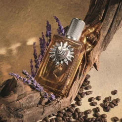 DOLCE&GABBANA Düfte·Parfum|