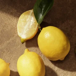 DOLCE&GABBANA Düfte·Eau De Parfum Spray|