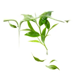 Foreo Maske·Wirkstoff- & Feuchtigkeitsmaske|