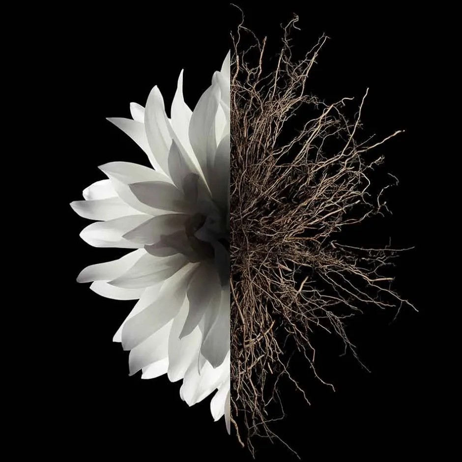 Givenchy Pflege·Body Lotion|