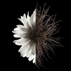 Givenchy Düfte·Eau De Parfum Spray|