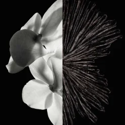 Givenchy Düfte·Eau De Parfum Spray|