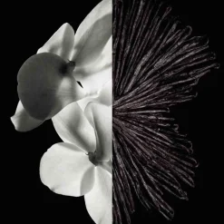 Givenchy Düfte·Eau De Parfum Spray|