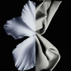 Givenchy Düfte·Eau De Toilette Spray|