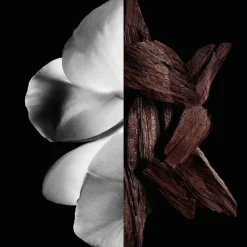 Givenchy Düfte·Eau De Parfum Spray|