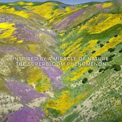 Guerlain Düfte·Eau De Toilette Spray|