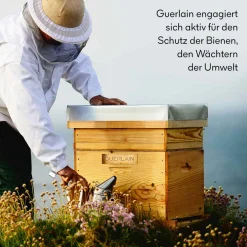 Guerlain Gesichtpflege·Nachtpflege|