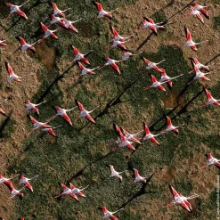 Guerlain Düfte·Eau De Toilette Spray|