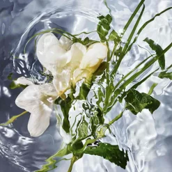 Guerlain Düfte·Eau De Toilette Spray|