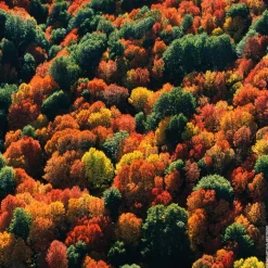 Guerlain Düfte·Eau De Parfum Spray|