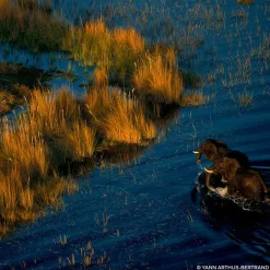 Guerlain Düfte·Eau De Parfum Spray|