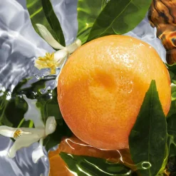 Guerlain Düfte·Eau De Toilette Spray|