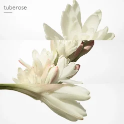 HERMÈS Düfte·Eau De Parfum Spray|