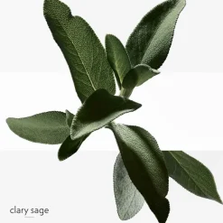 HERMÈS Düfte·Eau De Toilette Spray|