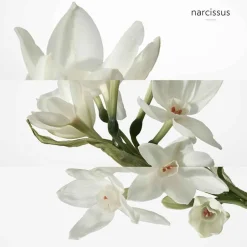 HERMÈS Düfte·Eau De Toilette Spray|