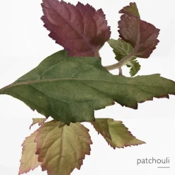 HERMÈS Düfte·Eau De Toilette Spray|