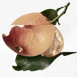 HERMÈS Düfte·Eau De Toilette Spray|