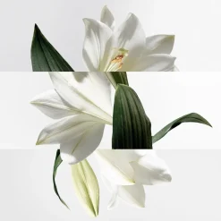 HERMÈS Düfte·Eau De Toilette Spray|