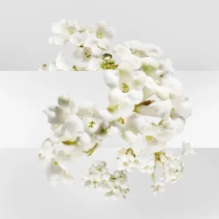 HERMÈS Düfte·Eau De Toilette Spray|