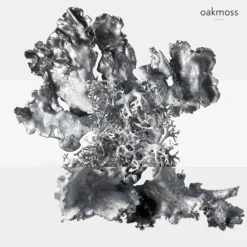 HERMÈS Düfte·Eau De Parfum Spray|