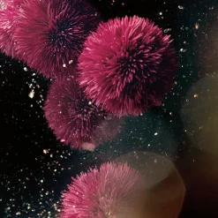 La Mer Anti Aging·Anti-Aging|