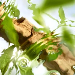 Lancôme Düfte·Eau De Toilette Spray|