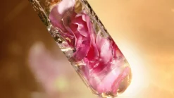 Lancôme Gesichtpflege·Tagespflege|