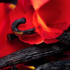 Maison Crivelli Düfte|