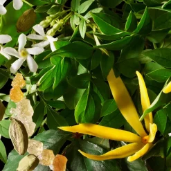 Molton Brown Reinigung·Bath & Shower|